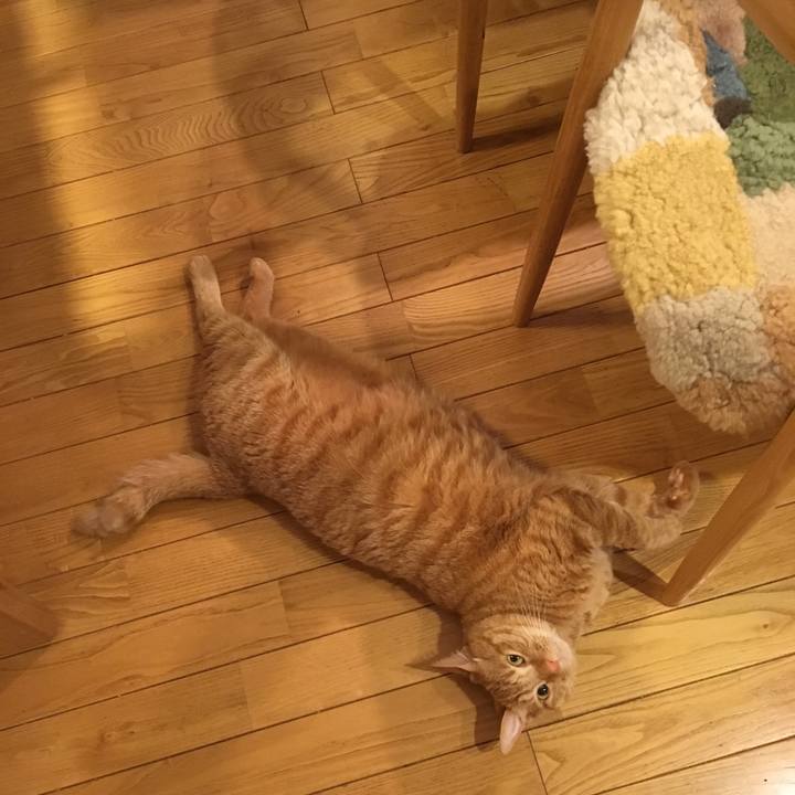 28f7e7a6 dfe5 4117 a77d 6df0b84927bb 1532568888189