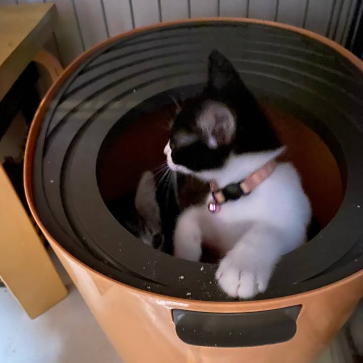 28f7f3c1 3f15 4139 8a73 aca4c8131b15 1625642032909