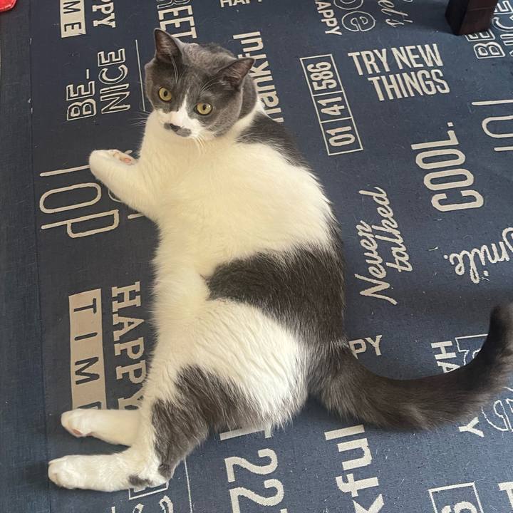 28f806b7 894f 4193 a3f5 a8347438e579 1728798361949