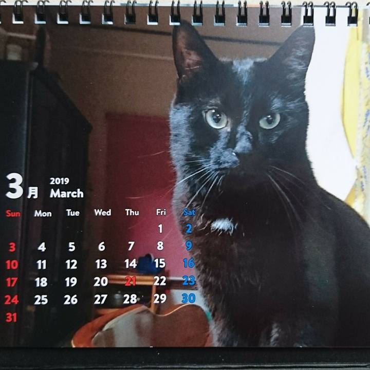 28f817b2 b1fa 473b 99aa cc73f9f6ce5c 1551498270061