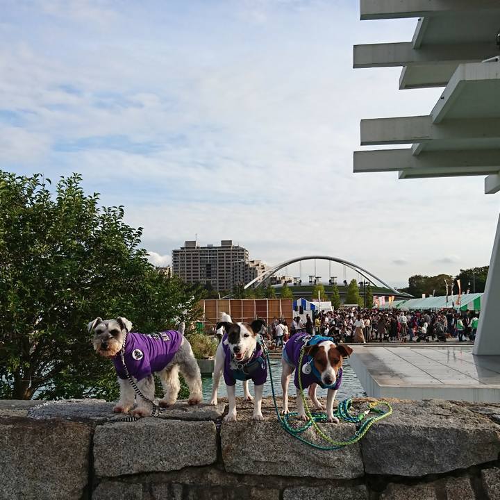 28f82dd2 4420 4526 a466 a63e4e2dcc31 1571572132477