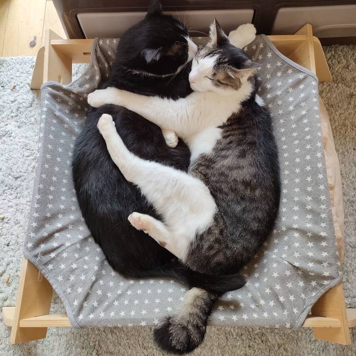 28f82ecc d950 4346 aac4 d508eda31724 1759207689959