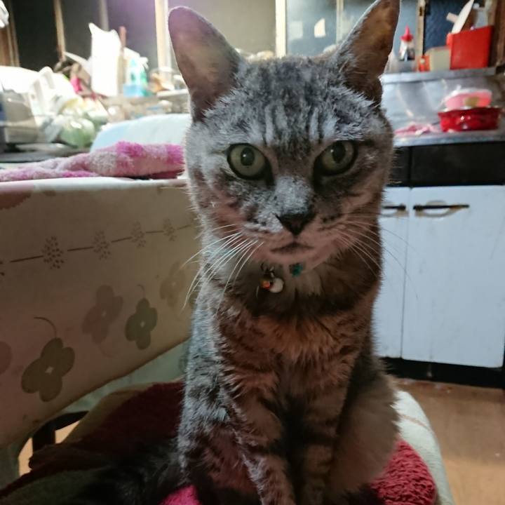 28f86cea 391e 42a2 8183 d21371df40bc 1566129743503