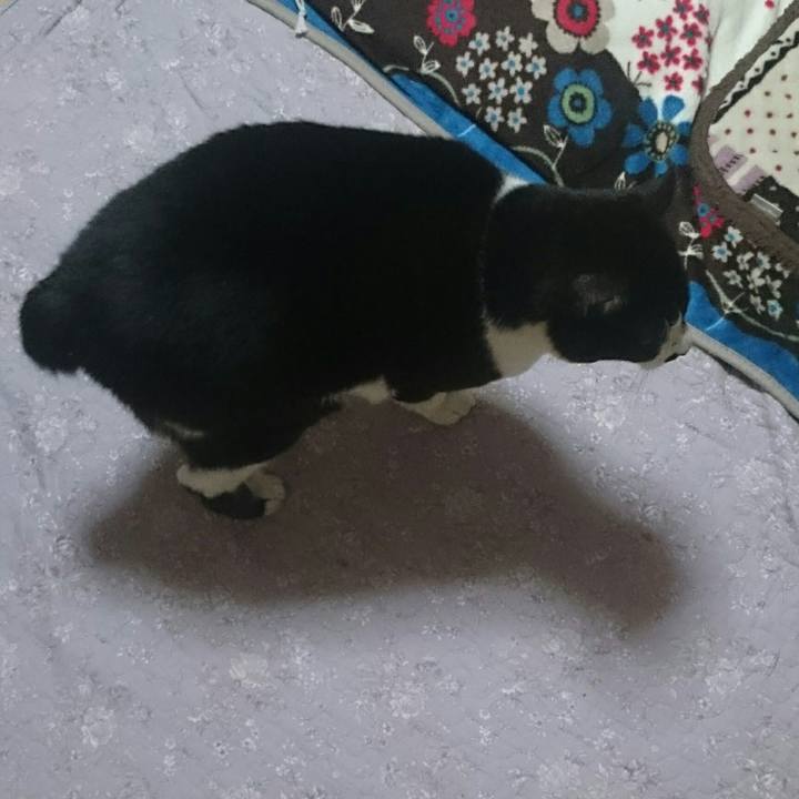 28f883a4 0a4d 41ea bc96 6703fdc19621 1512705349667