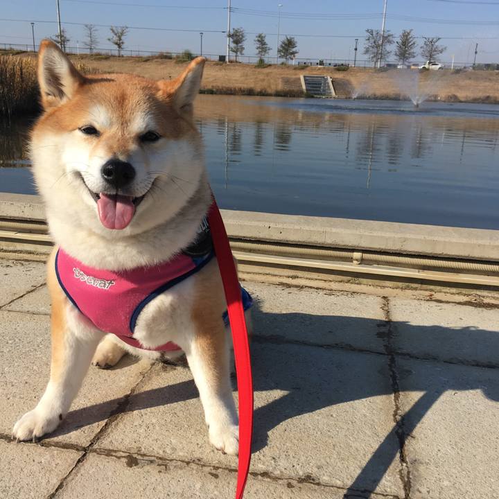 28f899e7 1173 4103 bb6e da44143eaf6d 1576316682548