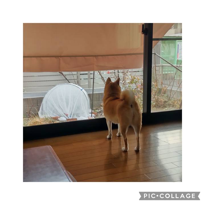 28f8a017 2aee 4fdc 87c0 7c99f96c9fd3 1768117040997