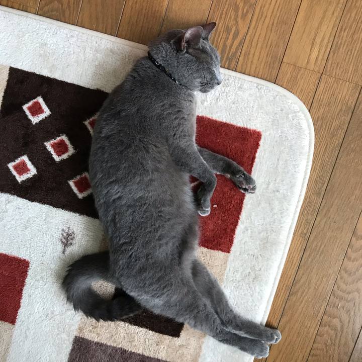 28f90288 113f 4594 b069 27d24e4b34a0 1569375527899