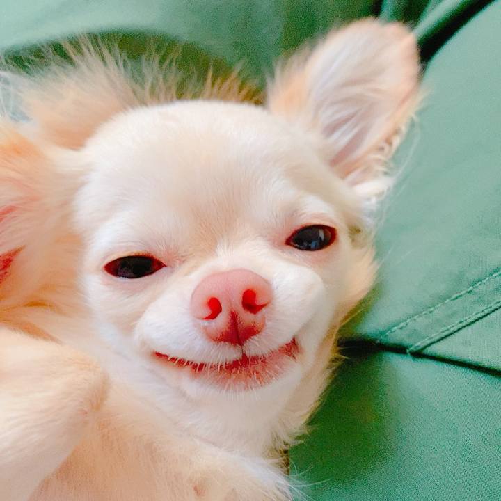 28f91ca0 3a3a 412b 84d1 703da6fb6a92 1626330837595