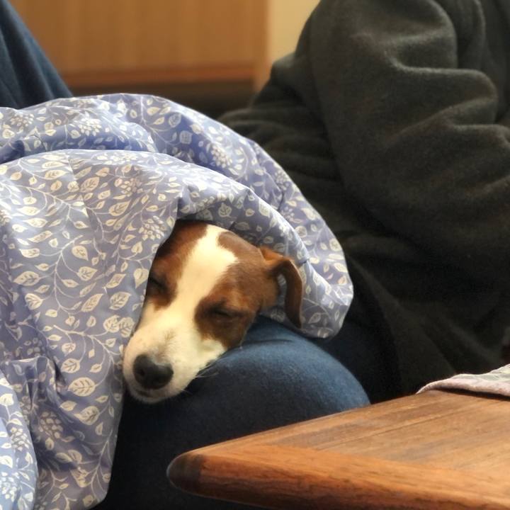 28f92f36 59a0 48a5 8b26 e74fbb373a4b 1611730111784