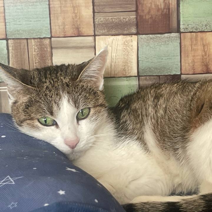 28f93dae 1a91 4f81 8015 18e02573174e 1640486964512