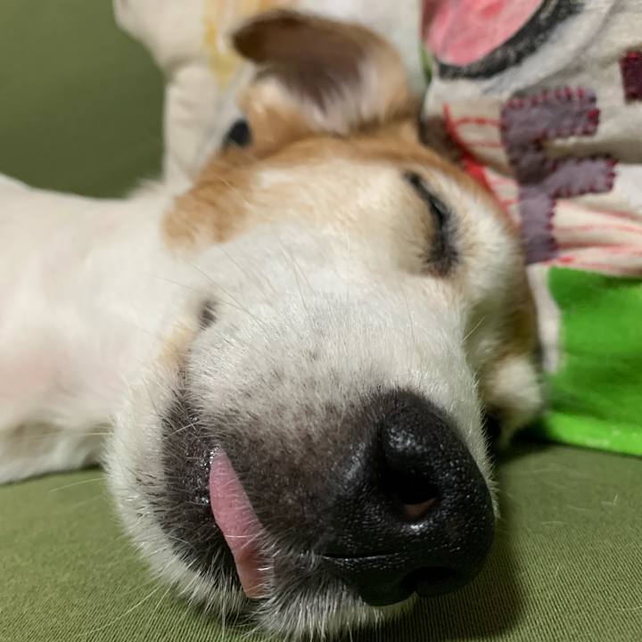 28f9433e 1214 4d98 88f5 309e34ebf754 1602683332068