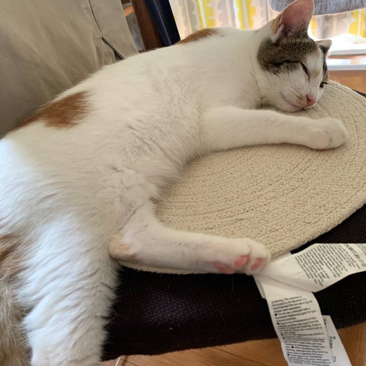 28f94f62 27dc 4384 9a57 e16fd50062a9 1598928833486