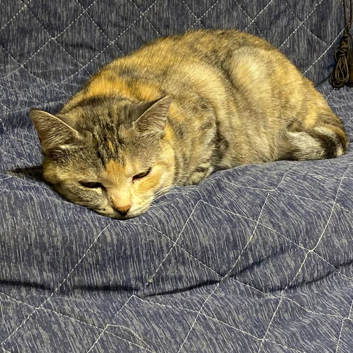 28fa4f74 2522 4ff5 bc6a 03617da54c85 1618915797998