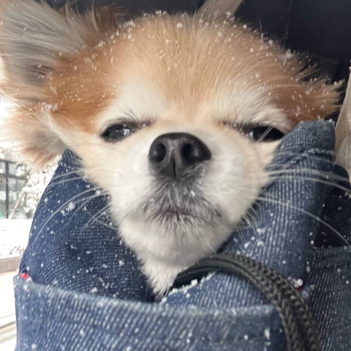 28fa64d3 a9d8 4be6 bb68 b2c99b4cb8f0 1770507326581