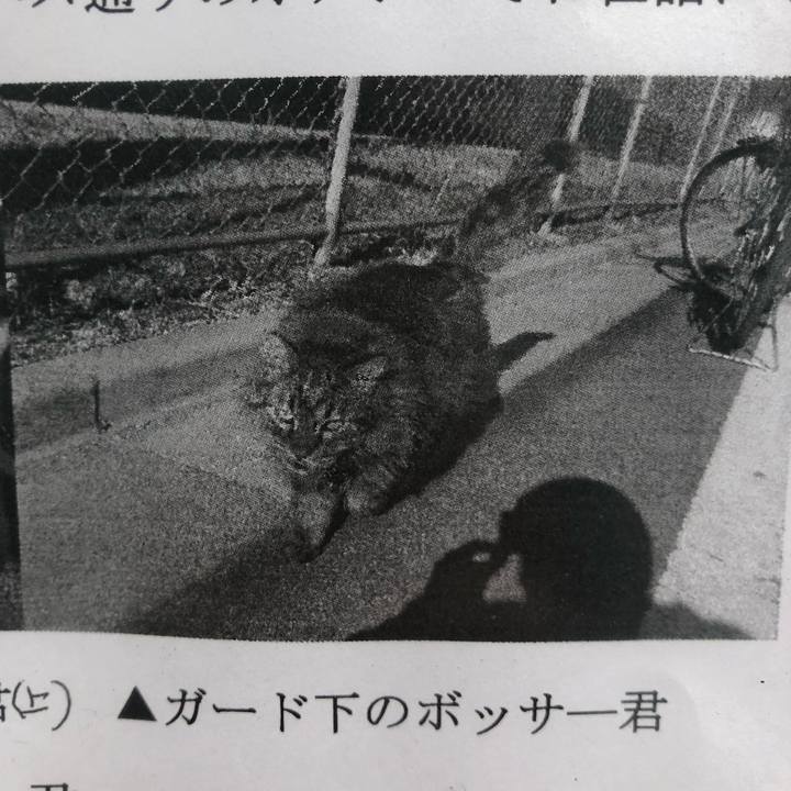 28fa69c4 515e 429b bb08 3661b503eae9 1551461566251