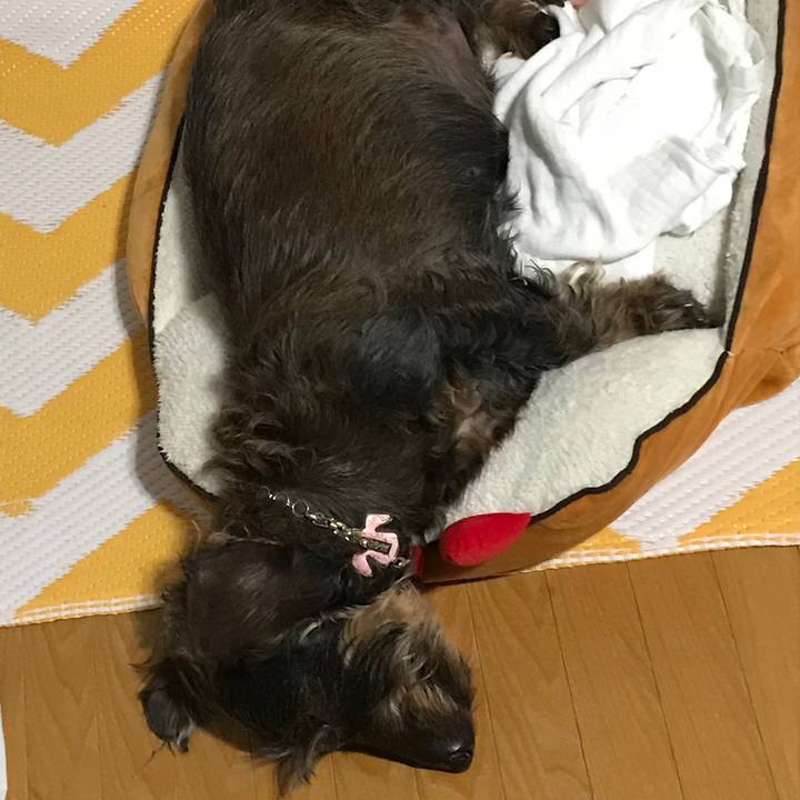 28fa8c65 262e 44b6 abc8 7d49969451ec 1523465106250