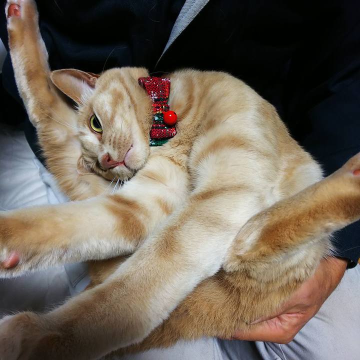 28fabfe7 8232 47e3 88b2 9daa68a664ff 1608765829353