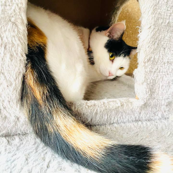 28fb454d 8ef6 486b 8f25 295e7ff537ea 1696461135431