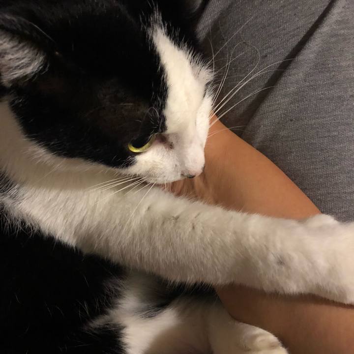 28fb4eaa 0e2b 4db4 9a51 d9e6596ed9a6 1560788508662