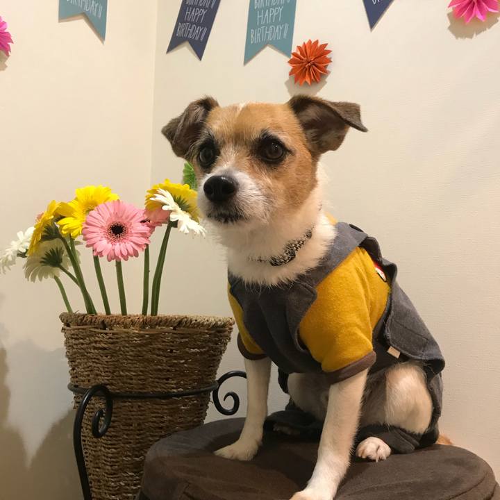 28fbbe32 25e2 46c5 a26c 3d72a528e6a9 1521508236214