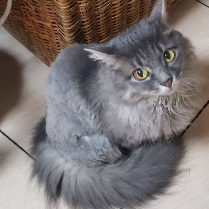 28fbdf1a 9742 410e beff e9cbf7901701 1595765093998