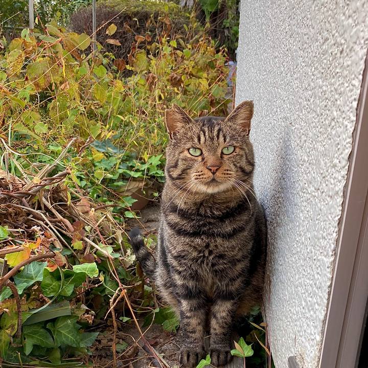 28fbf00c ad92 49dd 8a51 dc1c09ee7f85 1636278160870