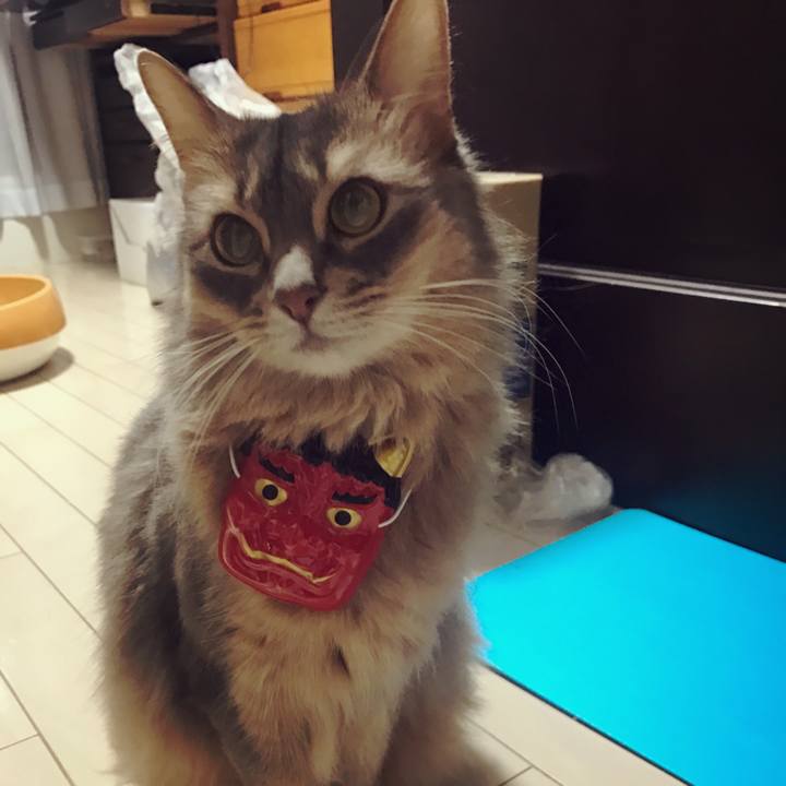 28fc25ca 9b79 41db 802d bf287157f63c 1517548893250