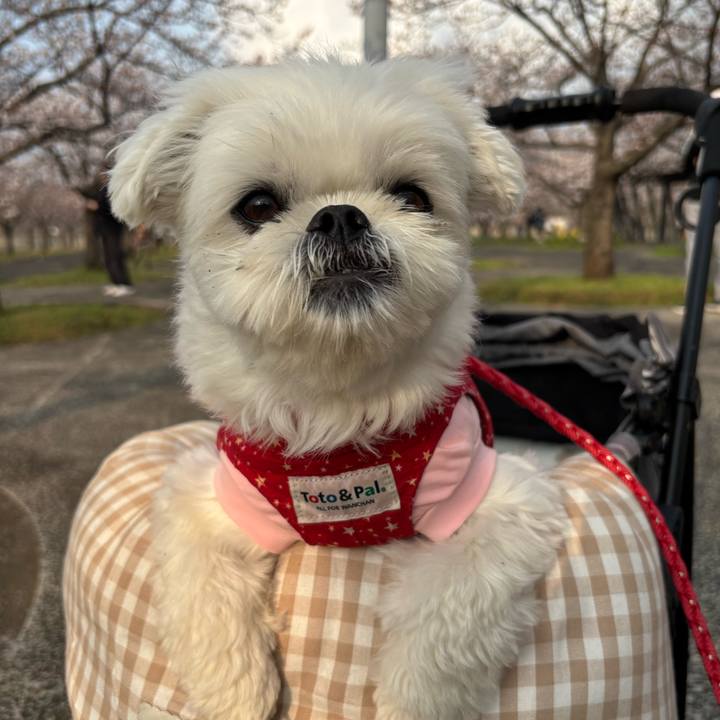 28fc56ec ca88 4395 9a75 639c399d8a0c 1774793018350