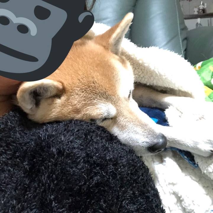 28fccd4e 8997 46db a7ea 6ab95bba5ba5 1576929342601