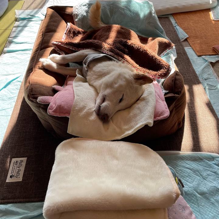 28fcd9db ec53 4575 8aae 2b6f196f2ddd 1672113449105