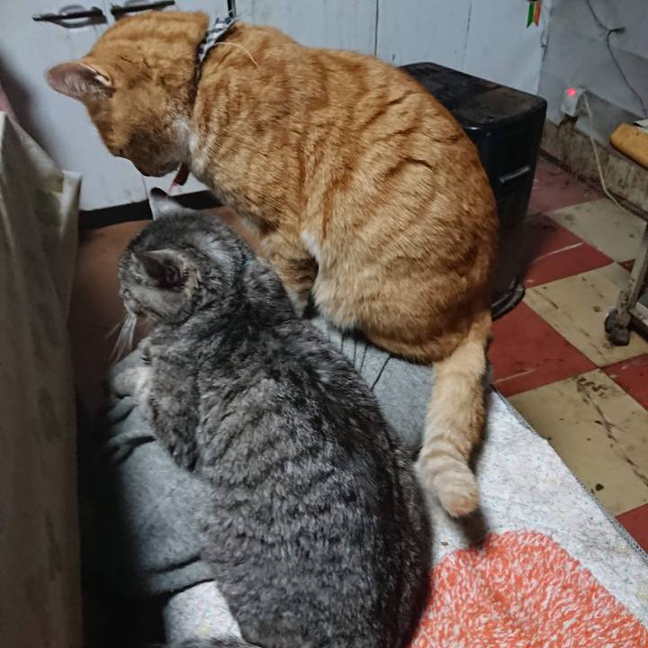 28fcedff 35dc 47ec a6bb ffb3a643a774 1606508736925