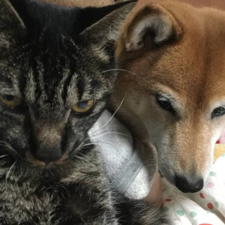 28fd11aa 3deb 4801 bcaa 3ca542745ded 1579937521816