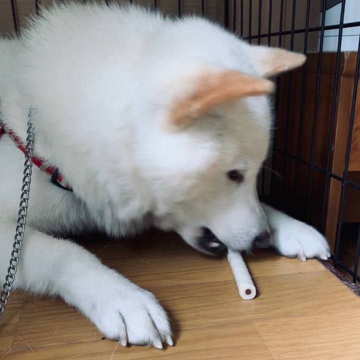 28fd231f 0610 413d 994d 0bef84dadca5 1562312429372