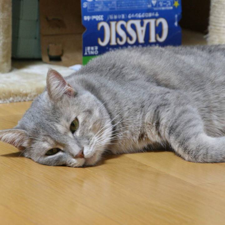 28fd3eb8 285b 412b 89cf 34d4db72d6bb 1533256048010