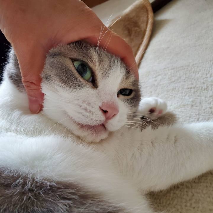 28fd56e2 6992 4c5f ab95 9b2899e9d11b 1713518622128