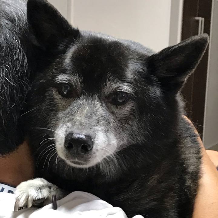 28fd60f9 6493 4fab a917 efa32b0fd133 1606134063733