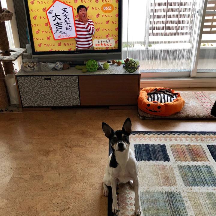 28fdac36 6fb6 4df1 8a0e ac84e3e04443 1554070504529