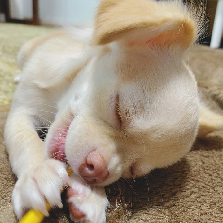 28fdb448 e02a 41a4 a3df 7f68443d87ec 1595638976744