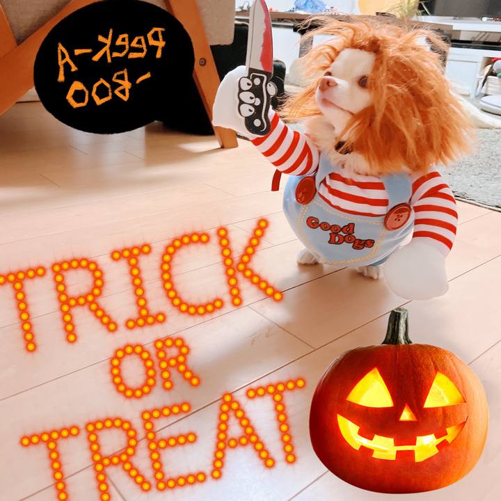 28fdd022 e2f1 4ce0 be5f 8afd9184d15a 1667220191249