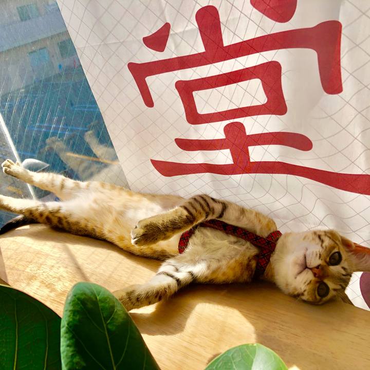 28fdd1a3 efc0 41af a8ec 428b218f79b7 1579750787127