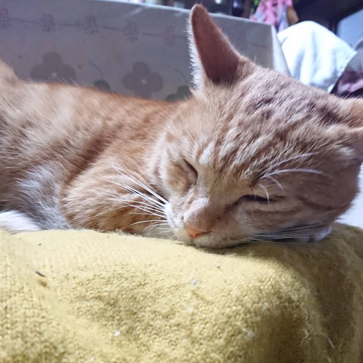 28fe0034 60b1 4a36 bcd6 82c104f72ee3 1570504459686