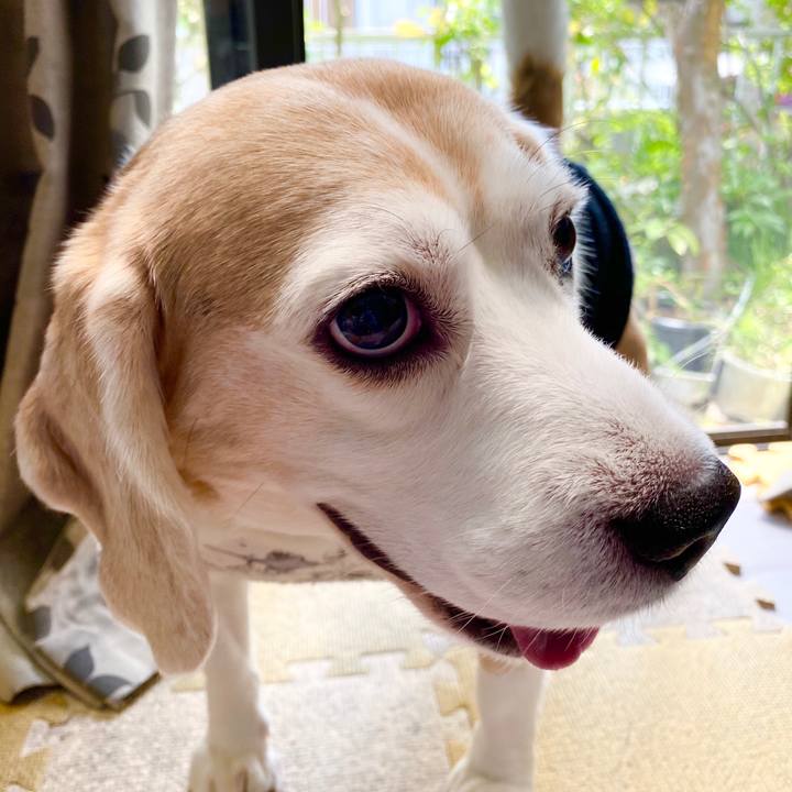 28fe1ad3 bda7 41d2 b15c 1c3cbc6ac83e 1590120280954