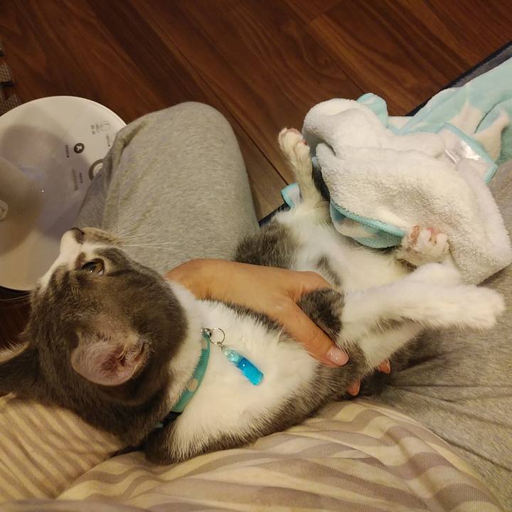 28fe2386 a2df 4b69 bab4 995fa56fdd49 1567344794033