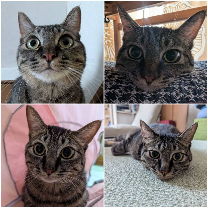 28fe3d6d 8af2 45fe 88ee 4439bd7f909b 1724752055728