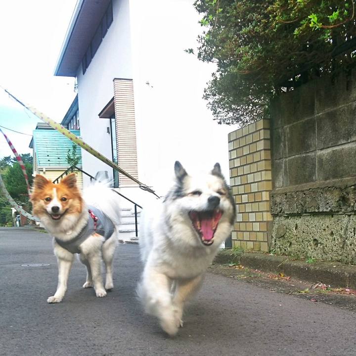 28fe4007 ee6e 427d 81b5 2182ad3dde0a 1562071829112