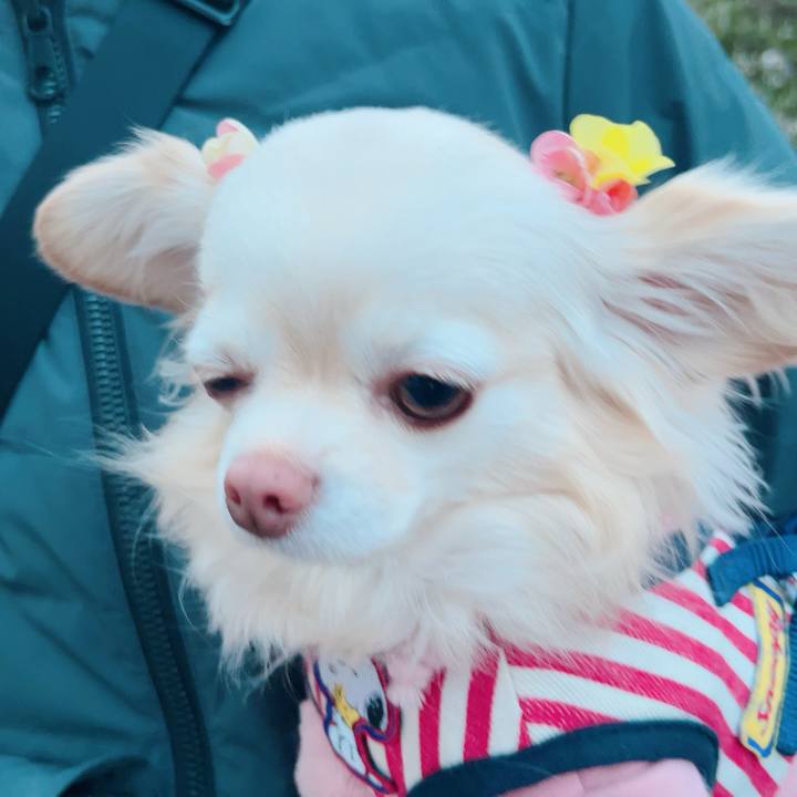 28fed16d b6d4 4e0b bfa8 d357735bedde 1707642628001