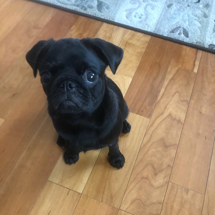 28fedddf 10ae 45dd a237 b09ec042b232 1598177016341