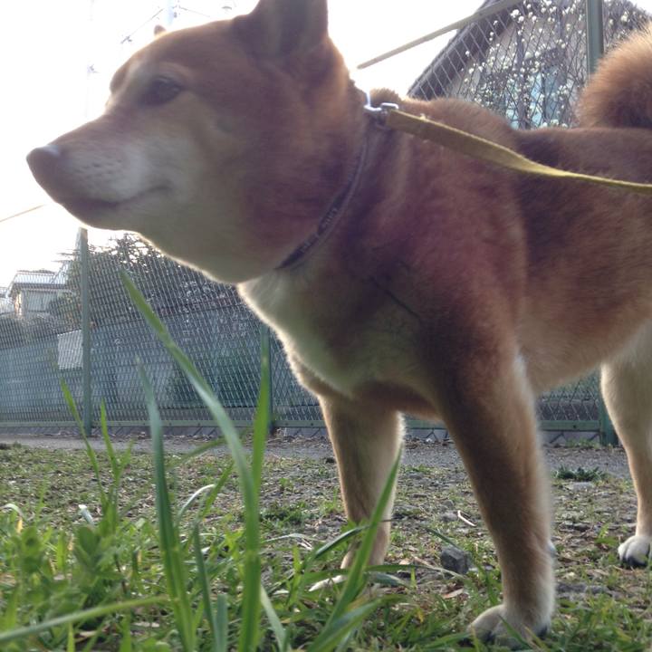 28fef625 223e 402f aa4d a8cdf50d6f4a 1552380045202