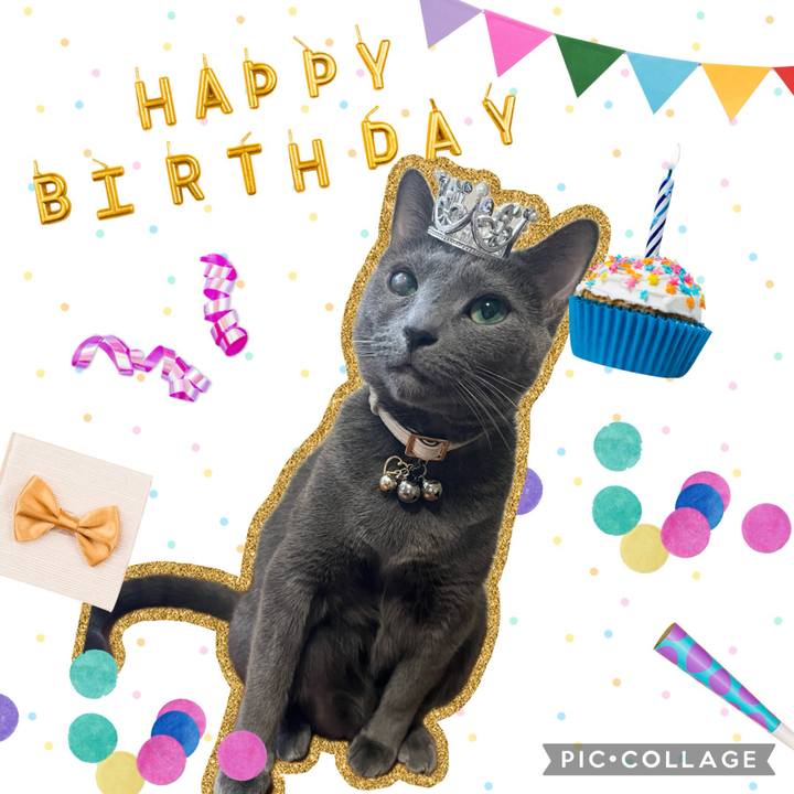 28fef8f6 e3c6 46fa a8fc 927cfef9b91a 1714952015667