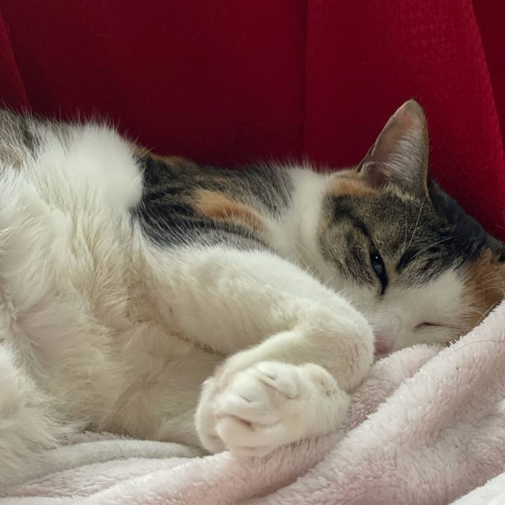 28ff10c7 719b 4c39 ab5c 5295d2a5017b 1616968357845